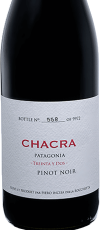 2023 2013 Treinta y Dos Pinot Noir Chacra Sassicaia Patagonien Argentinien Rotwein