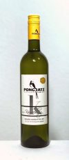 Kranachberg Gelber Muskateller 2019 Weingut Pongratz Gamlitz Südsteiermark Österreich Weißwein
